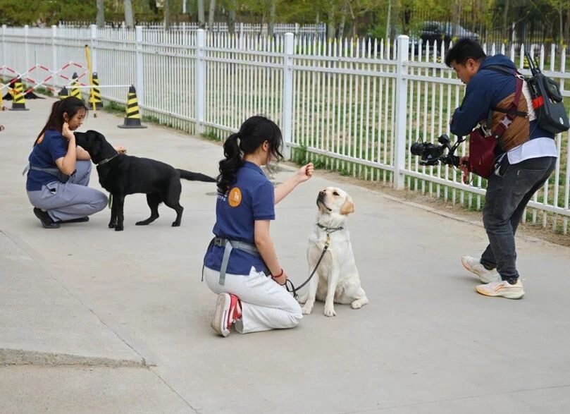 北京高校助力推进教育科技人才一体发展特别报道|taptap点点官方网站④:图说taptap点点官方网站 北京高校助力推进教育科技人才一体发展特别报道|taptap点点官方网站④:图说taptap点点官方网站