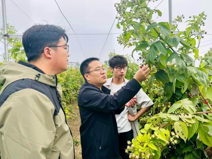 北京高校助力推进教育科技人才一体发展特别报道|taptap点点官方网站④:图说taptap点点官方网站 北京高校助力推进教育科技人才一体发展特别报道|taptap点点官方网站④:图说taptap点点官方网站